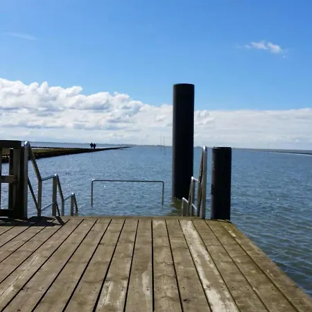 Deichtraum Galmsbull