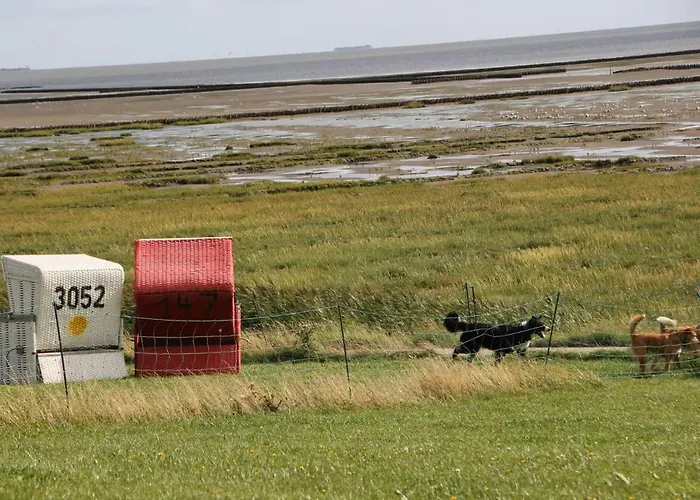 Deichtraum Appartamento